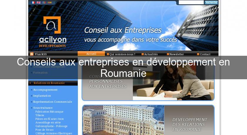 Conseils aux entreprises en développement en Roumanie Conseils aux entreprises en développement en Roumanie