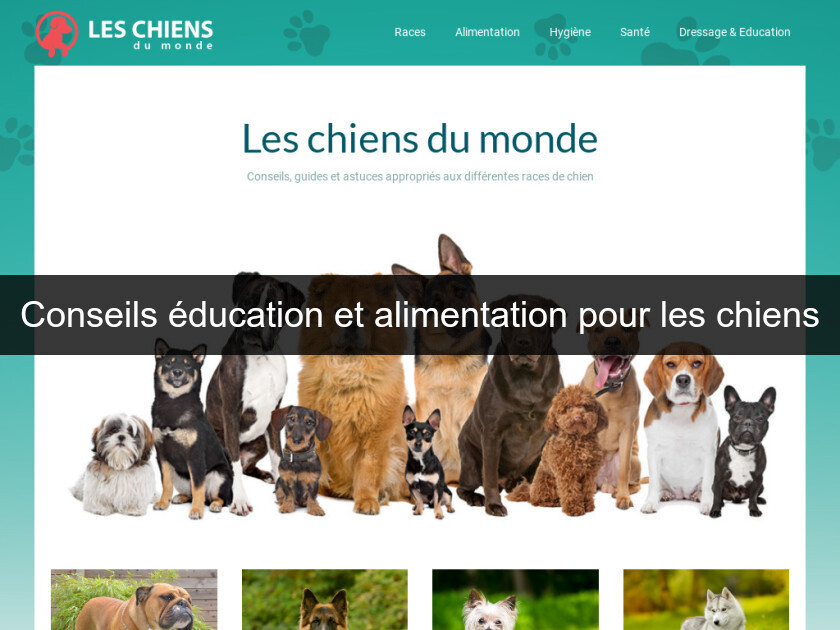 Conseils éducation et alimentation pour les chiens Conseils éducation et alimentation pour les chiens