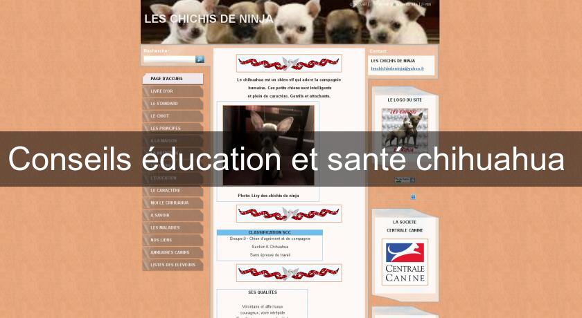 Conseils éducation et santé chihuahua 