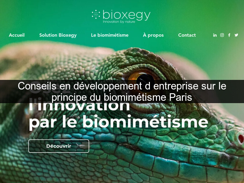 Conseils en développement d'entreprise sur le principe du biomimétisme Paris
