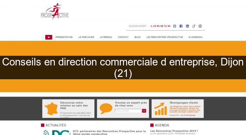 Conseils en direction commerciale d'entreprise, Dijon (21) Conseils en direction commerciale d'entreprise, Dijon (21)