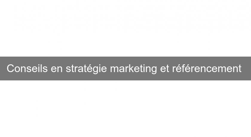 Conseils en stratégie marketing et référencement 