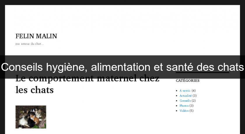 Conseils hygiène, alimentation et santé des chats Conseils hygiène, alimentation et santé des chats