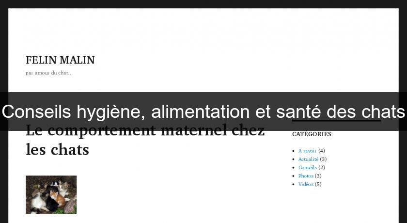 Conseils hygiène, alimentation et santé des chats