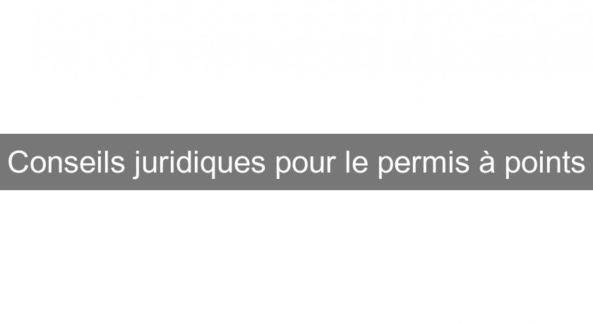 Conseils juridiques pour le permis à points Conseils juridiques pour le permis à points