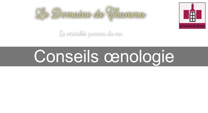 Conseils œnologie