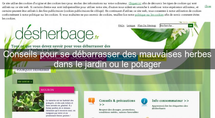 Conseils pour se débarrasser des mauvaises herbes dans le jardin ou le potager Conseils pour se débarrasser des mauvaises herbes dans le jardin ou le potager