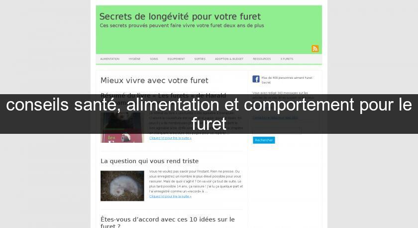 conseils santé, alimentation et comportement pour le furet