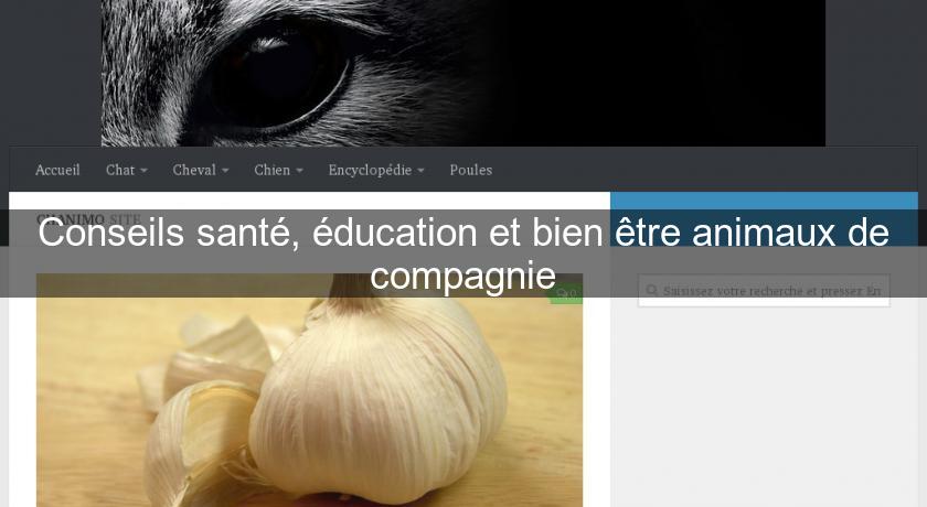 Conseils santé, éducation et bien être animaux de compagnie