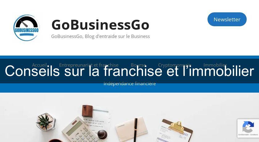 Conseils sur la franchise et l’immobilier