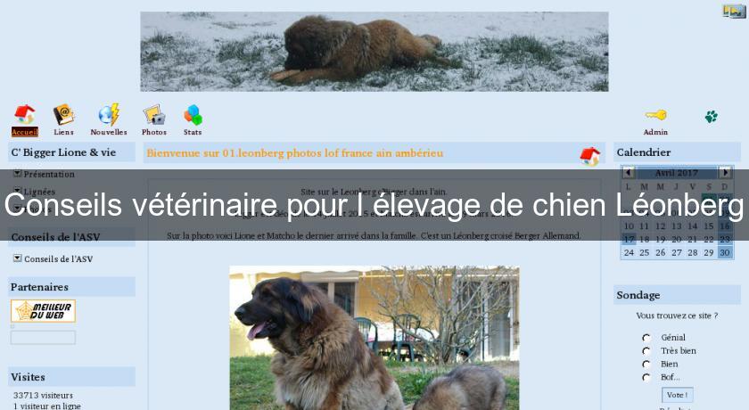 Conseils vétérinaire pour l'élevage de chien Léonberg Conseils vétérinaire pour l'élevage de chien Léonberg