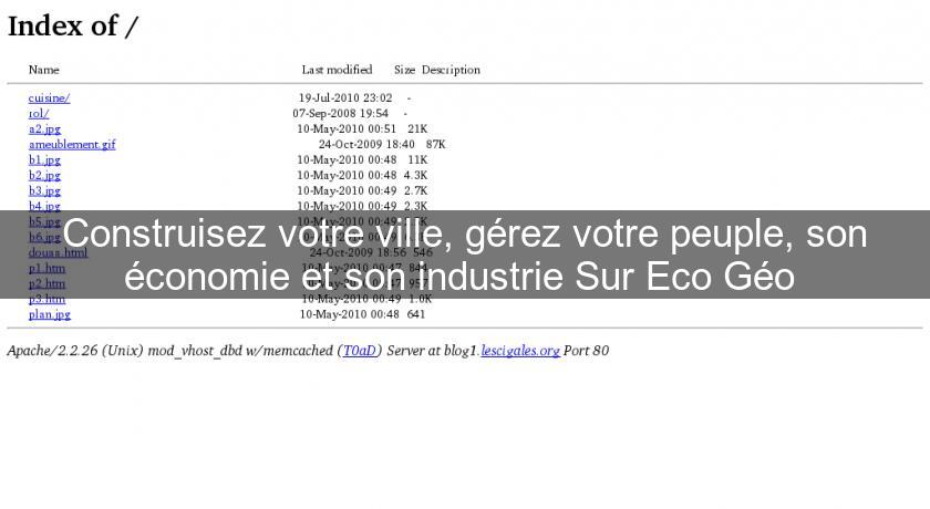 Construisez votre ville, gérez votre peuple, son économie et son industrie Sur Eco Géo 