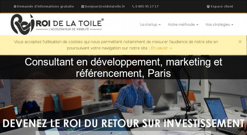 Consultant en développement, marketing et référencement, Paris Consultant en développement, marketing et référencement, Paris