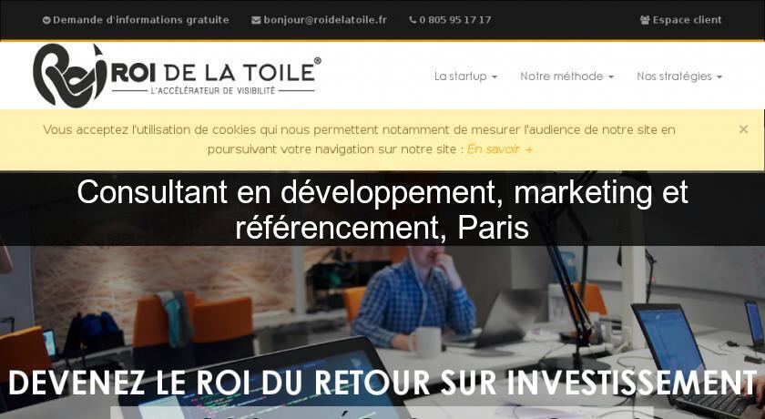 Consultant en développement, marketing et référencement, Paris