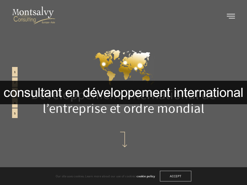 consultant en développement international