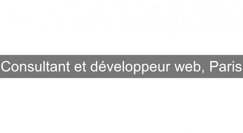 Consultant et développeur web, Paris