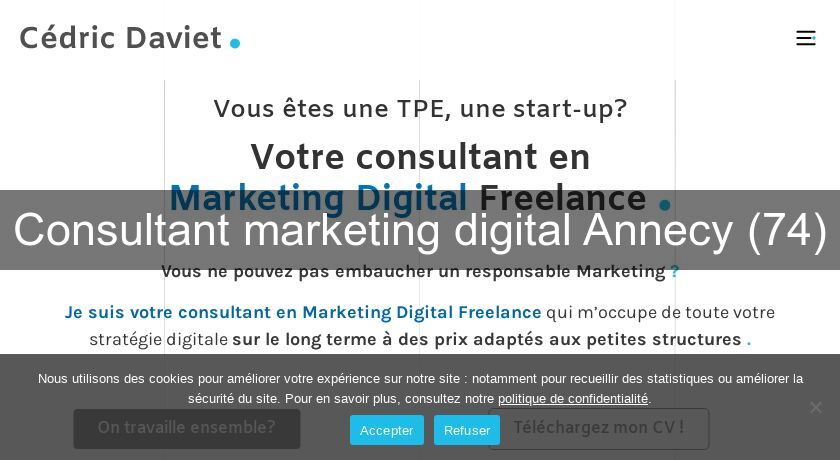 Consultant marketing digital Annecy (74)