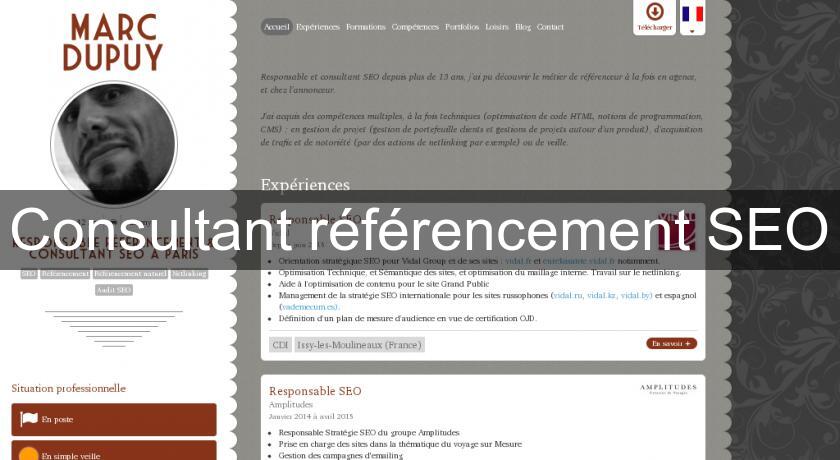 Consultant référencement SEO