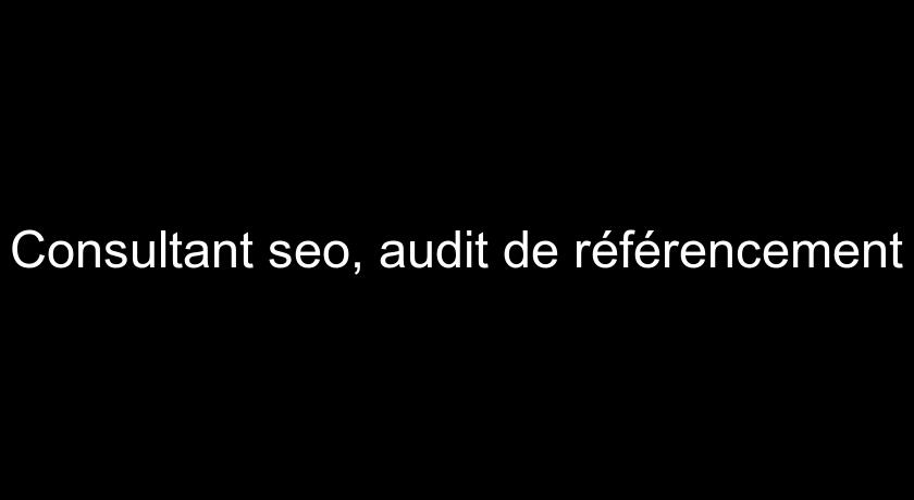 Consultant seo, audit de référencement