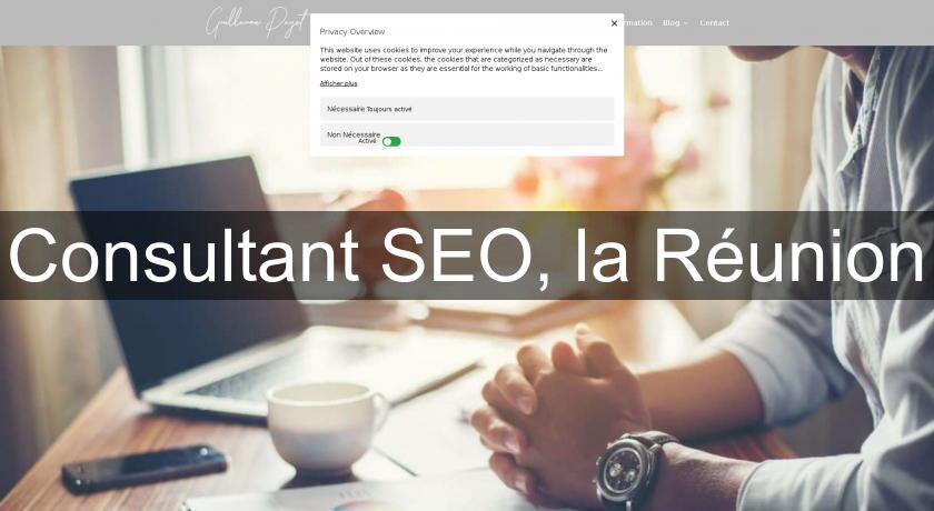 Consultant SEO, la Réunion Consultant SEO, la Réunion