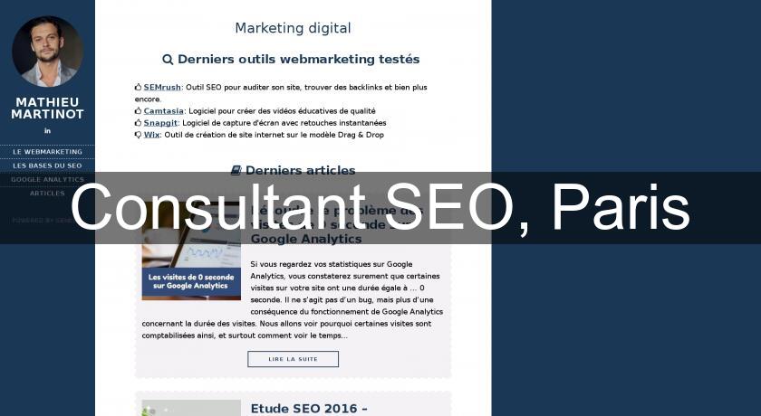 Consultant SEO, Paris