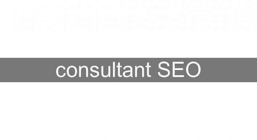 consultant SEO consultant SEO