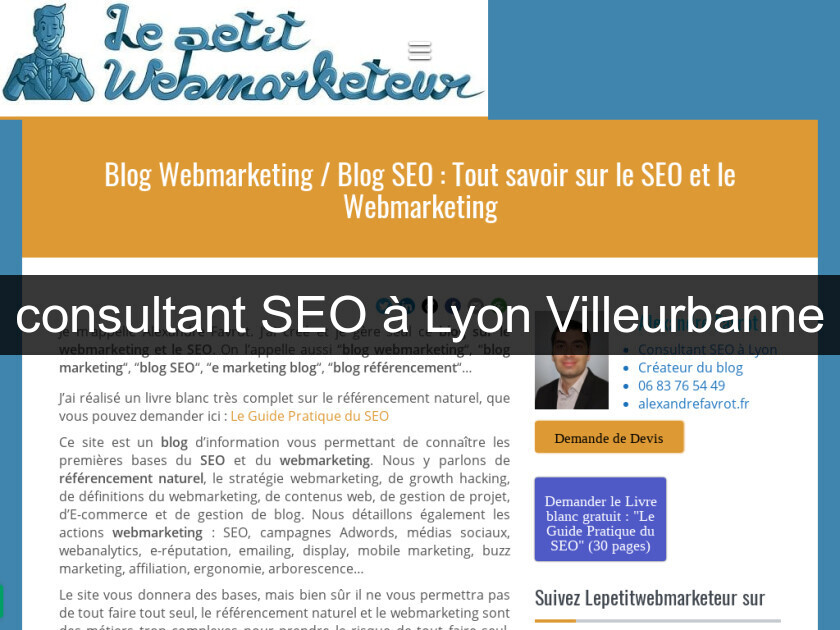 consultant SEO à Lyon Villeurbanne