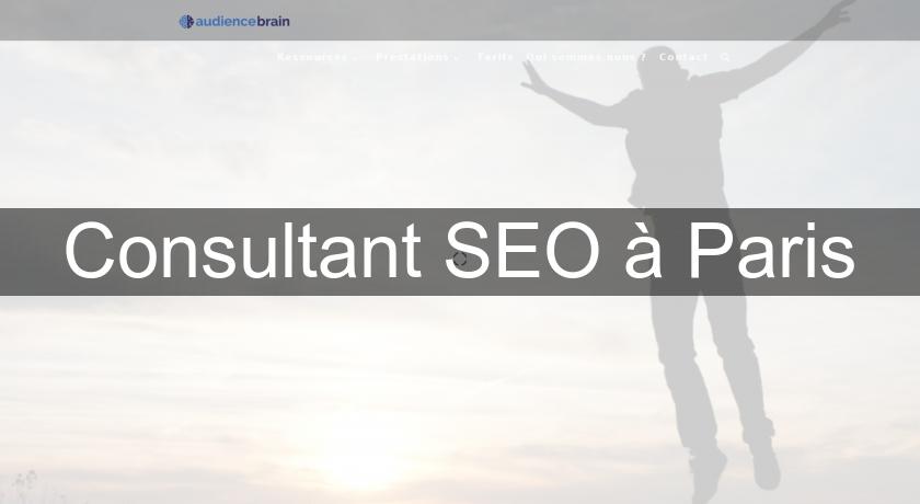 Consultant SEO à Paris Consultant SEO à Paris