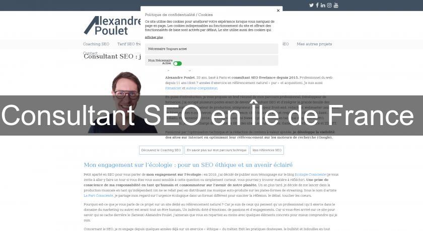 Consultant SEO en Île de France Consultant SEO en Île de France