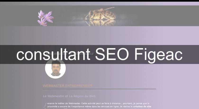 consultant SEO Figeac