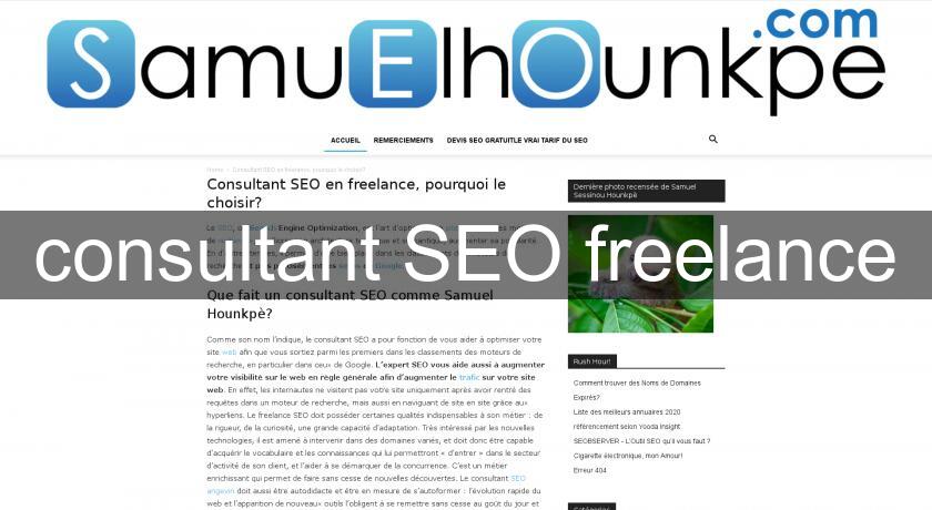 consultant SEO freelance