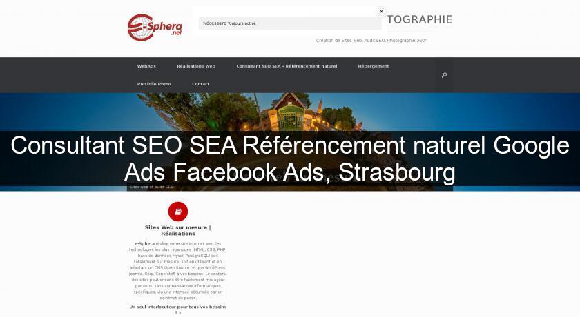 Consultant SEO SEA Référencement naturel Google Ads Facebook Ads, Strasbourg