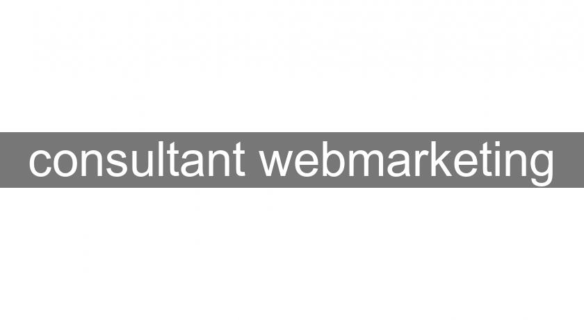 consultant webmarketing