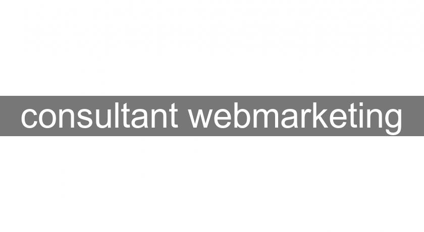 consultant webmarketing consultant webmarketing