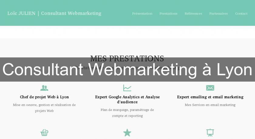 Consultant Webmarketing à Lyon