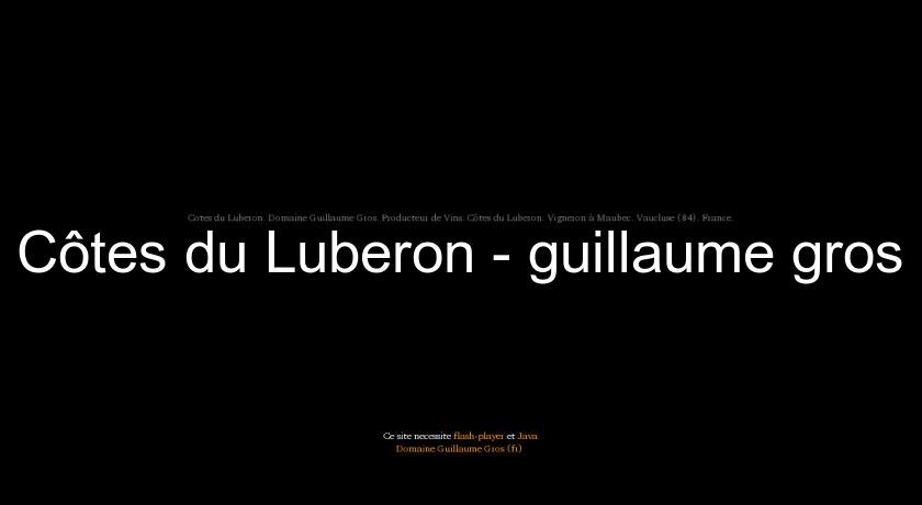 Côtes du Luberon - guillaume gros Côtes du Luberon - guillaume gros