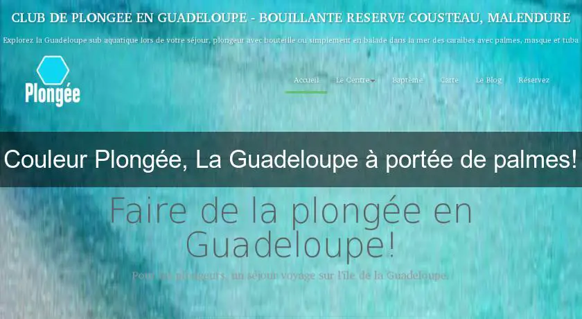 Couleur Plongée, La Guadeloupe à portée de palmes!