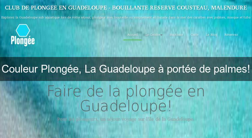 Couleur Plongée, La Guadeloupe à portée de palmes!