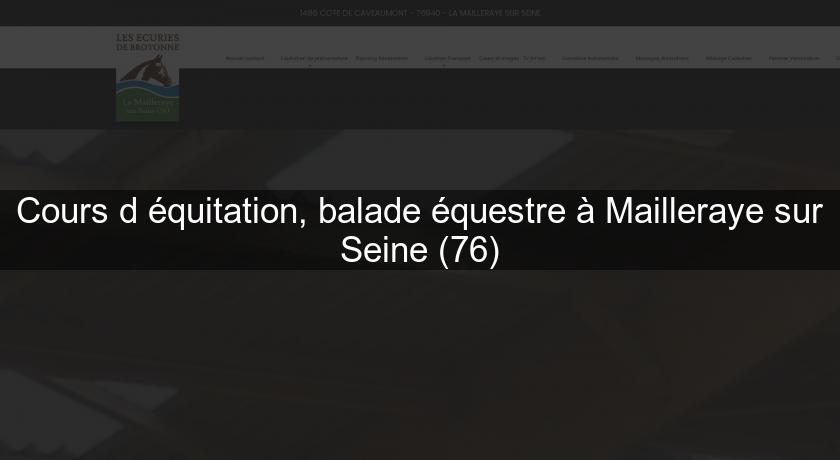 Cours d'équitation, balade équestre à Mailleraye sur Seine (76) Cours d'équitation, balade équestre à Mailleraye sur Seine (76)