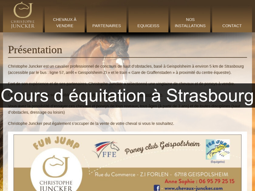 Cours d'équitation à Strasbourg Cours d'équitation à Strasbourg