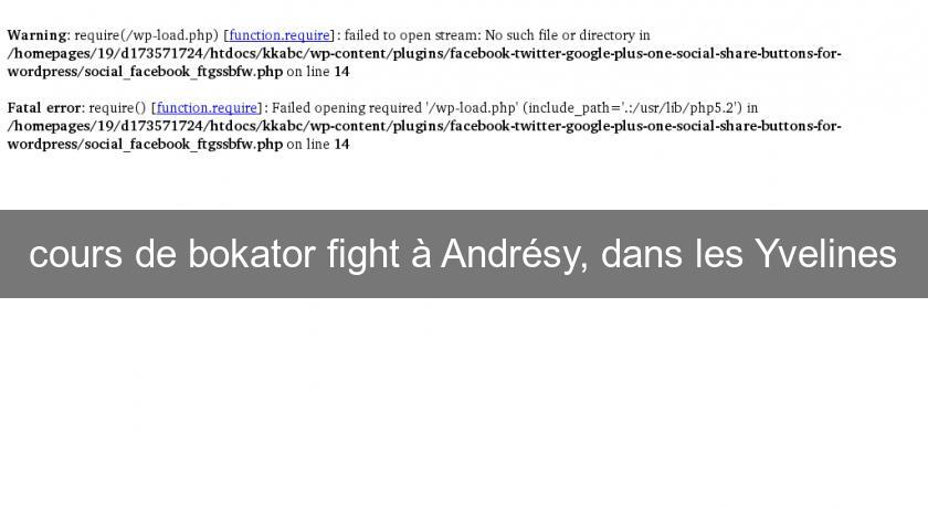 cours de bokator fight à Andrésy, dans les Yvelines cours de bokator fight à Andrésy, dans les Yvelines