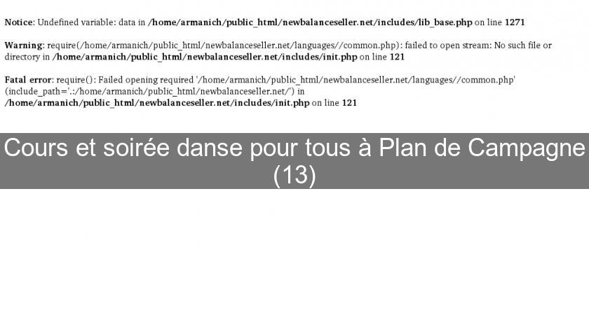 Cours et soirée danse pour tous à Plan de Campagne (13)