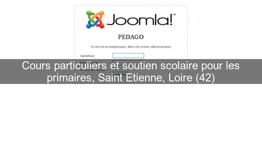 Cours particuliers et soutien scolaire pour les primaires, Saint Etienne, Loire (42)