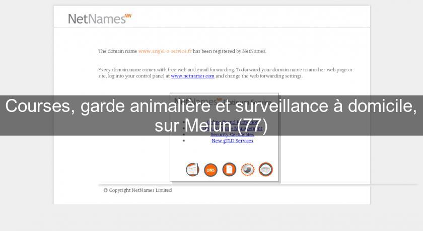 Courses, garde animalière et surveillance à domicile, sur Melun (77)