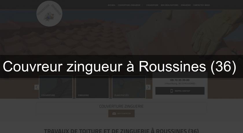 Couvreur zingueur à Roussines (36) 