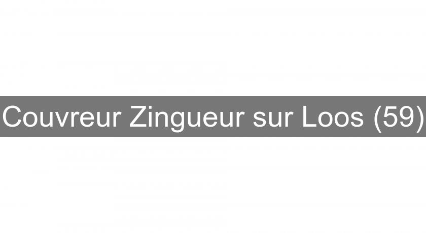 Couvreur Zingueur sur Loos (59)