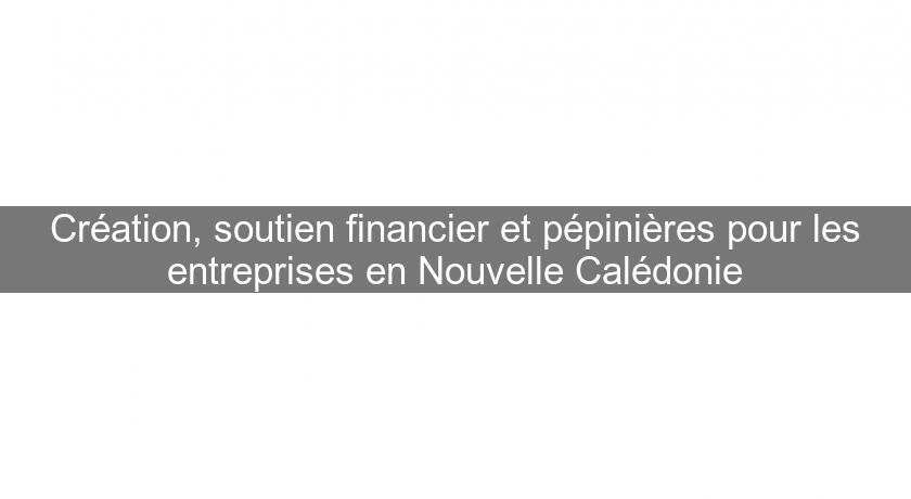 Création, soutien financier et pépinières pour les entreprises en Nouvelle Calédonie Création, soutien financier et pépinières pour les entreprises en Nouvelle Calédonie