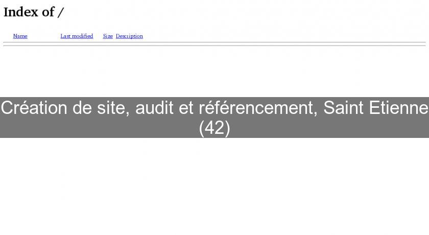 Création de site, audit et référencement, Saint Etienne (42)