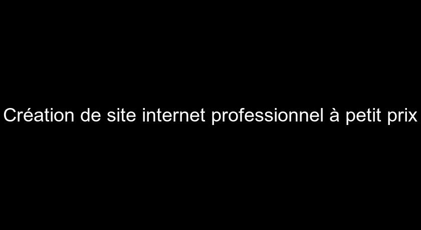 Création de site internet professionnel à petit prix Création de site internet professionnel à petit prix