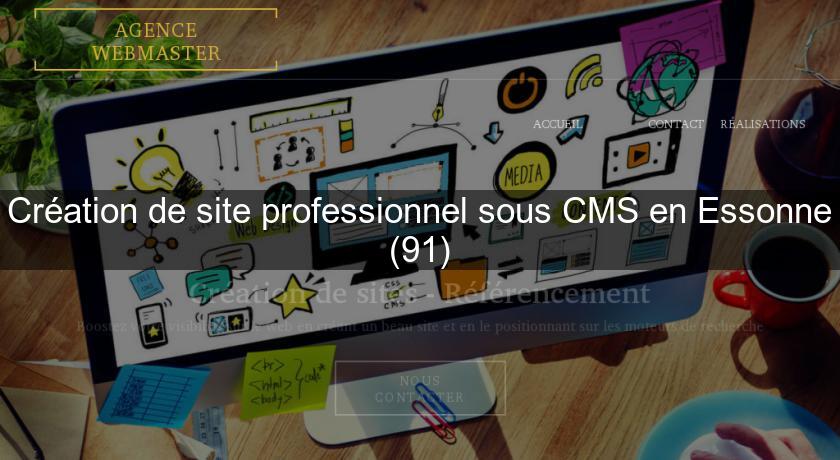 Création de site professionnel sous CMS en Essonne (91) Création de site professionnel sous CMS en Essonne (91)